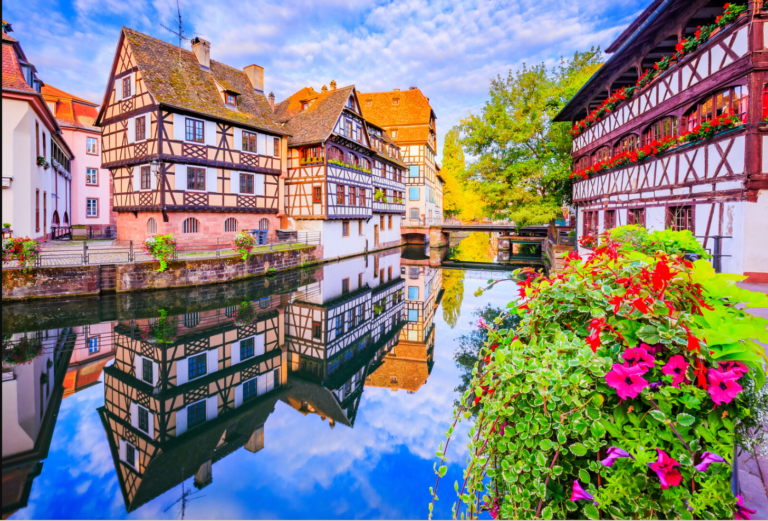 Seguridad alimentaria y cuestiones analíticas – Strasbourg