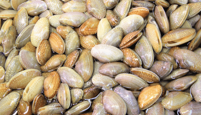 Allerte alimentari Settimana 05