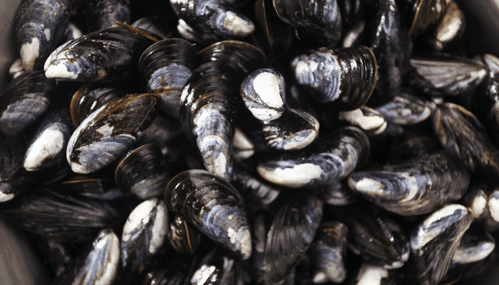 European alerts Week 25