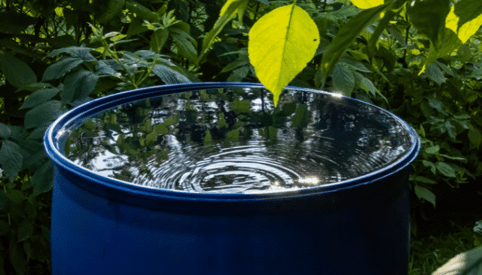 Usage domestique des Eaux impropres à la consommation humaine : l&rsquo;arrêté du 29 juillet 2026 précise les exigences