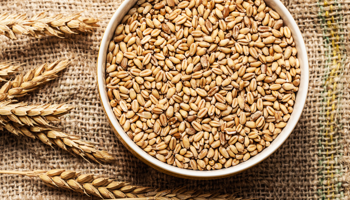 Alertes alimentaires Semaine 39