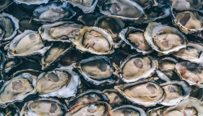 European alerts Week 48